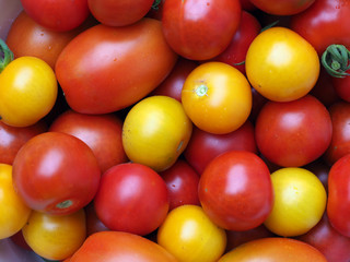 Frische verschiedene Tomaten
