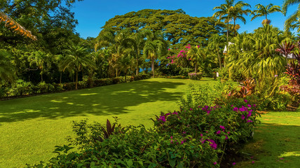 Obraz premium A view across a well kept garden in St Kitts