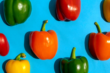 Bell peppers colorful pattern on bright blue background. Top view. Bell pepper flat lay. Different colors capsicum wallpaper