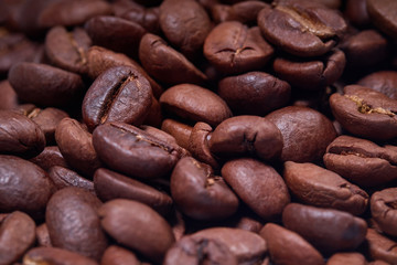 coffee beans close-up on a dark background