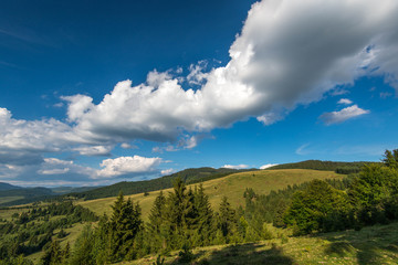 View from the top of the mountains, wild forests in the Carpathian mountains, blue sky with white clouds.