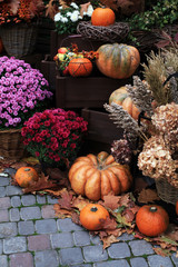 Pumpkins. decor for the halloween, thanksgiving, autumn season 