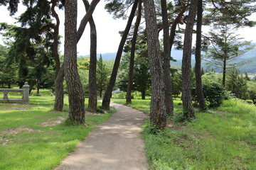 Fototapeta premium path in the park