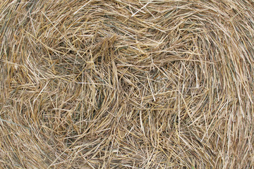 Close-up of a haystack for a rural background. Round haystack. Close-up photos, selective focus.