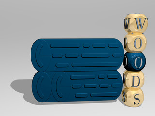 WOODS 3D icon beside the vertical text of individual letters, 3D illustration for forest and background