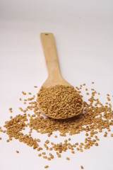 Seeds of fenugreek in wooden spoon on white background closeup