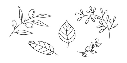 Doodle branch, leaf, olive icon isolated on white. Sketch vector stock illustration. EPS 10