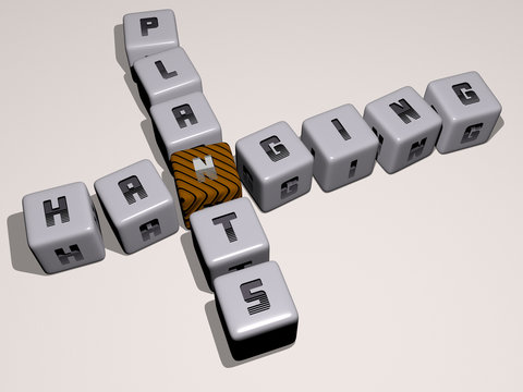 HANGING PLANTS crossword by cubic dice letters, 3D illustration for background and design