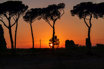 Wonderful sunset with a sky that turns red. In the foreground of the Mediterranean pine trees and ancient remains of a ancient Roman aqueduct.