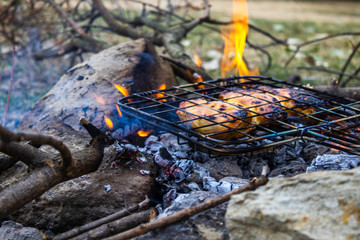 Fototapeta na wymiar fire in the forest cooking chicken meat