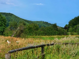 Fototapeta na wymiar wooden fence in the mountains
