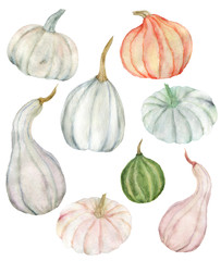 Watercolor painting set with hand drawn pumpkins. Fall design element.