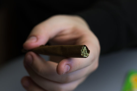 Cannabis blunt or joint close-up. Marijuana rolled in paper. THC drug use