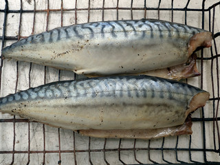 fried mackerel fish on a wire rack