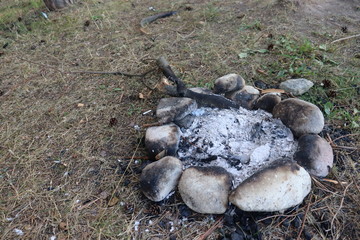 lots of stones on barbecue spot with burned out grass