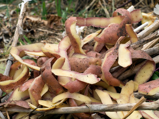 Composting potato peels background.