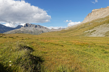 Fototapeta na wymiar Mountains and meadows of Parc national de la Vanoise