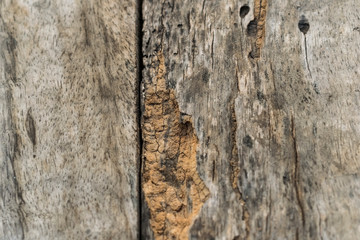 old worn wooden texture background