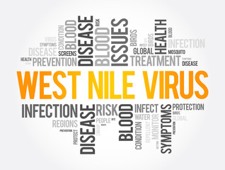 West Nile Virus word cloud collage, health concept background