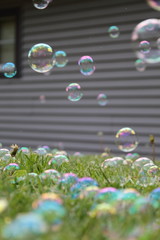 soap bubbles in the air