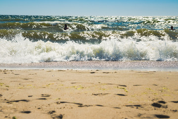 People swimming in the rough sea. View from the sandy beach