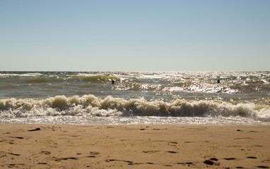 People swimming in the rough sea. View from the sandy beach
