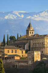 Fototapeta na wymiar Beautifull sunny day in the Alhambra of Granada