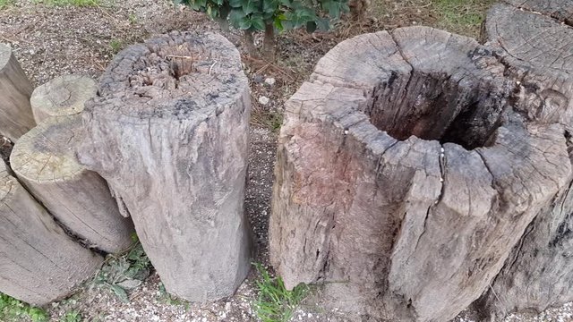 Wooden logs used as fence in a park in different shape, size and textures, sunny day in Guadalajara, Jalisco Mexico