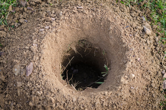 Dirt Hole Images – Browse 46,966 Stock Photos, Vectors, and Video