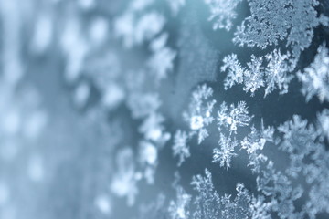 Frost Flakes