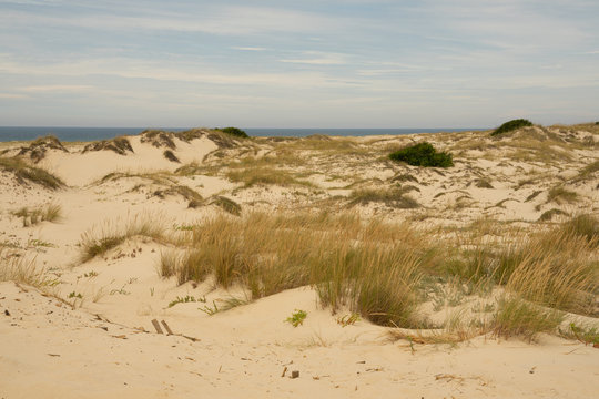 Reserva natural dunas de S&atilde;o Jacinto en Portugal.