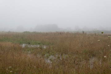Dämmerung am Morgen mit etwas Nebel im Bruch von Bünde, eine Flußniederung, Tal des Flusses Else
