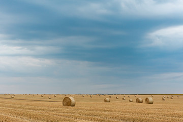 Field with straw bales. Beautiful summer rural landscape photographed in Ukraine.