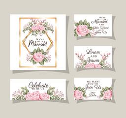 Wedding invitations set with gold ornament frames and roses flowers with leaves design, Save the date and engagement theme Vector illustration