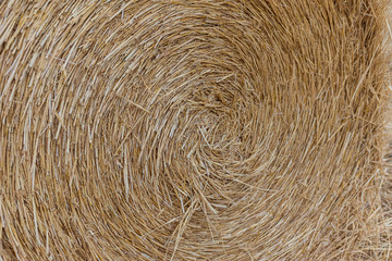 Field with straw bales. Beautiful summer rural landscape photographed in Ukraine.