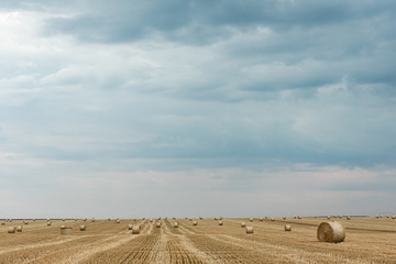 Obraz premium Field with straw bales. Beautiful summer rural landscape photographed in Ukraine.