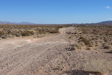 Fototapeta na wymiar desert dirt road