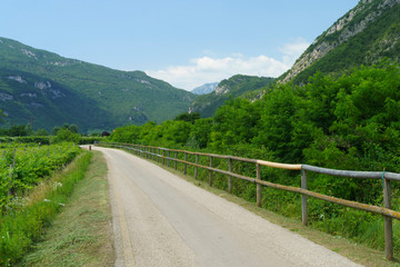 Vineyards and apple orchards along the cycleway from Torbole to Rovereto