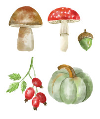 Watercolor autumn elements set, forest collection object, colored leaves, pumpkin and mushroom, vector watercolor effect
