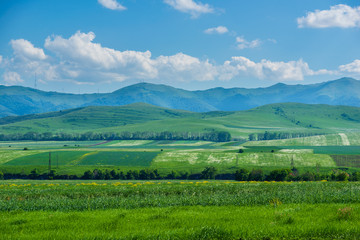 Beautiful landscape with field and mountains, Armenia