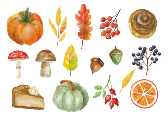 Watercolor autumn elements set, forest collection object, colored leaves, berry, nuts, mushroom, autumn sweet and pumpkin, vector watercolor effect