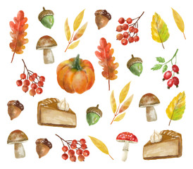 Watercolor autumn elements set, forest collection object, colored leaves, berry, nuts, mushroom, autumn sweet and pumpkin, vector watercolor effect
