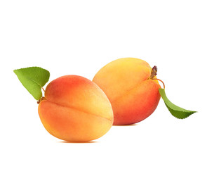ripe and juicy apricots with green leaves on a white background