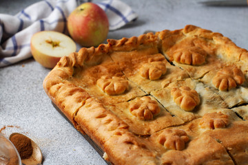Apple pie, close-up, pieces