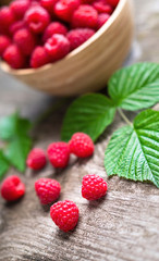 Fresh ripe red raspberries with leaves in a bowl on rustic old wooden table. Healthy organic food, summer vitamins, BIO viands, natural background. Copy space for your advertising text message