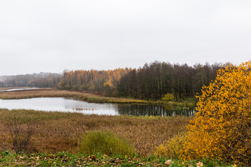 Rainy autumn day in a city park in Minsk, Belarus. Walking in the rain. Wet fresh clean gray asphalt, haze and humid air. Fallen leaves, bare trees. 
