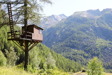 Hunting hut on a tree