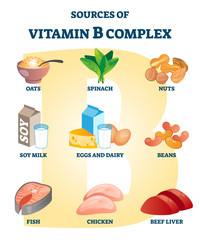 Source of vitamin B complex with labeled healthy food nutrient example list © VectorMine