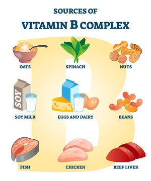 Source Of Vitamin B Complex With Labeled Healthy Food Nutrient Example List