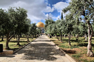 Obraz premium dome of the rock jerusalem